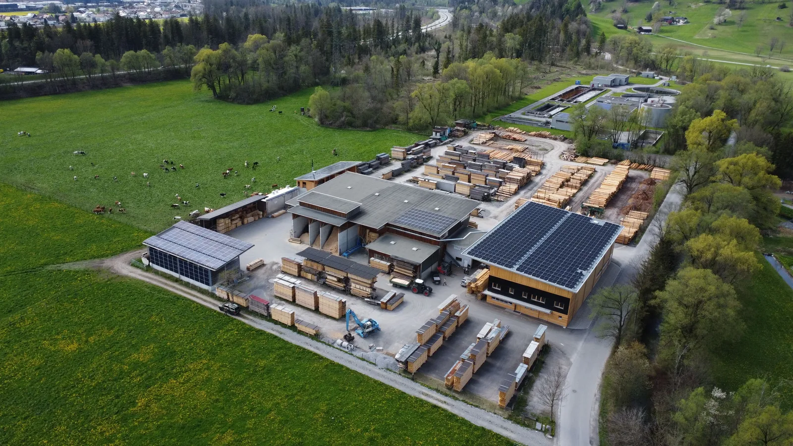 Luftbild des Sägewerks Mündle in Satteins: Hallen mit Photovoltaik auf den Dächern, davor Rundholz- und Schnittholzlager, dahinter der Walgau